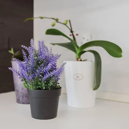 Apartment St Julians Centre 3bed With Views! By Homely *